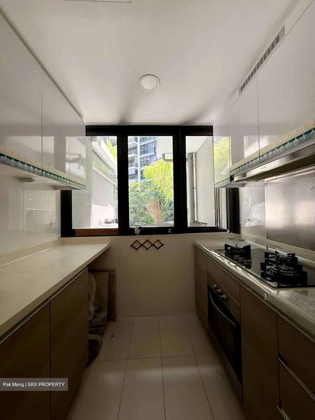 Boathouse Residences (D19), Condominium #551934321